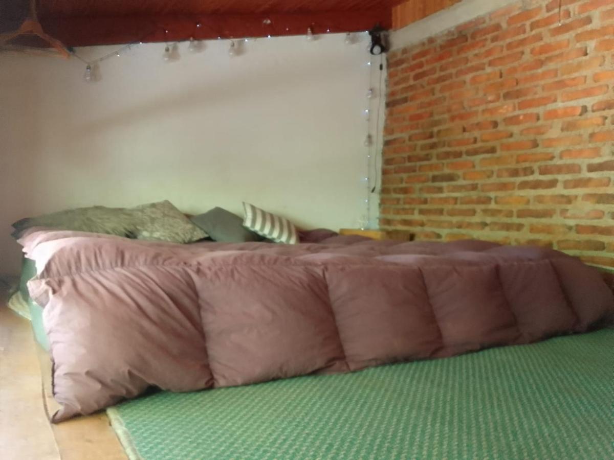 شقة San Martín de los Andes  في Casita En La Montana المظهر الخارجي الصورة